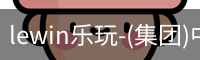 LEWIN乐玩